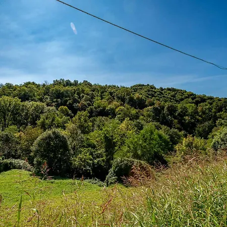Apartman La Casa Nel Di Francesco Como